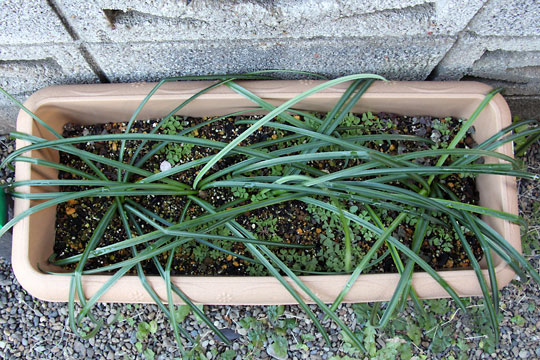 f:id:takahikonojima:20160214102217j:plain