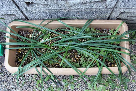 f:id:takahikonojima:20160214102232j:plain