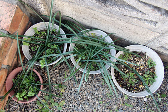 f:id:takahikonojima:20160214102310j:plain