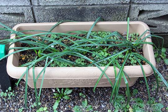 f:id:takahikonojima:20160228094012j:plain