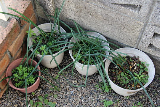 f:id:takahikonojima:20160228094024j:plain