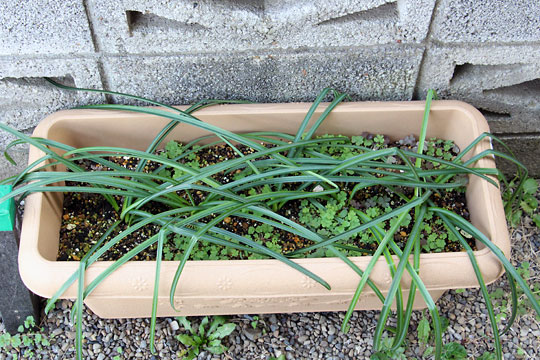 f:id:takahikonojima:20160228094030j:plain