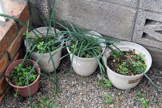 f:id:takahikonojima:20160228094043j:plain