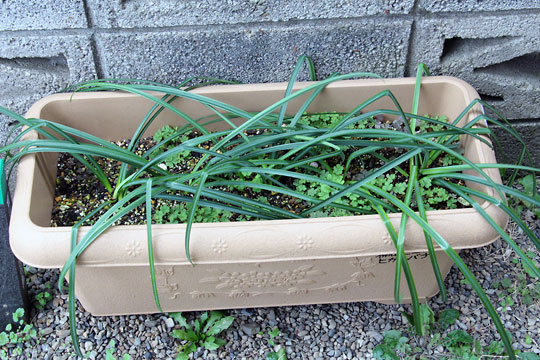 f:id:takahikonojima:20160228094049j:plain