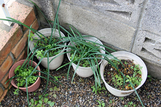 f:id:takahikonojima:20160228094100j:plain