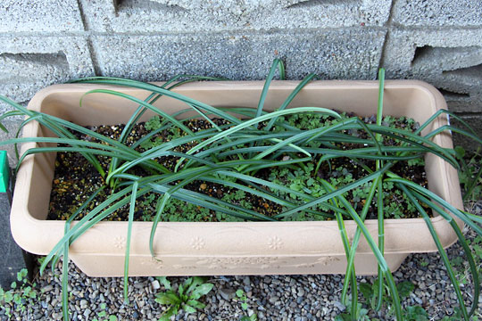 f:id:takahikonojima:20160228094122j:plain