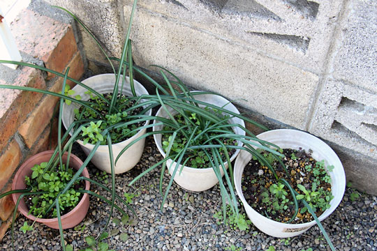 f:id:takahikonojima:20160228094127j:plain