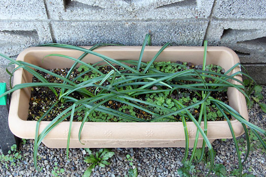 f:id:takahikonojima:20160228094133j:plain