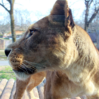 f:id:takahikonojima:20160229011342j:plain