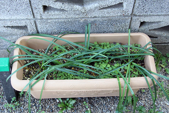 f:id:takahikonojima:20160306181308j:plain