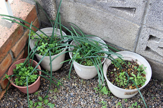 f:id:takahikonojima:20160306181320j:plain