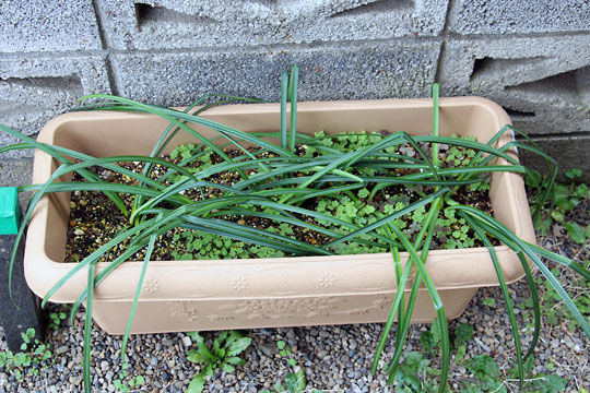 f:id:takahikonojima:20160306181325j:plain