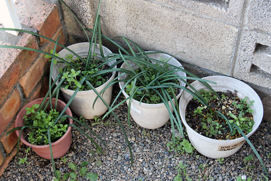 f:id:takahikonojima:20160306181337j:plain