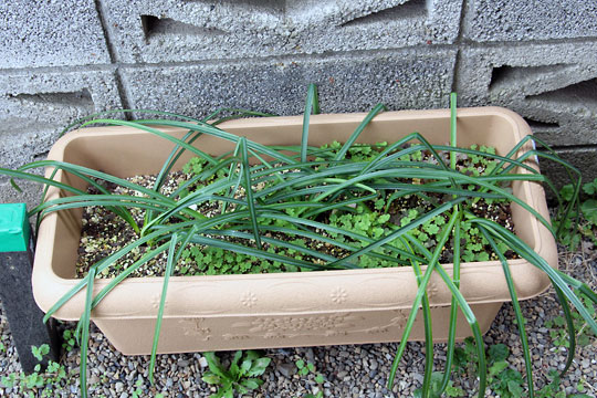 f:id:takahikonojima:20160306181418j:plain