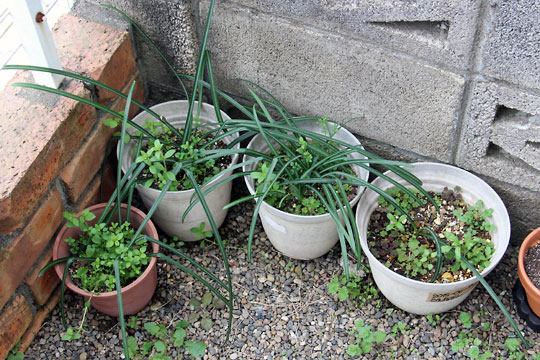 f:id:takahikonojima:20160312143841j:plain