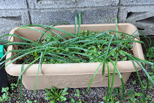 f:id:takahikonojima:20160318173055j:plain