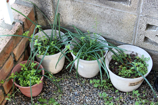 f:id:takahikonojima:20160318173101j:plain