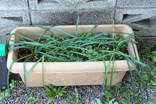 f:id:takahikonojima:20160318173107j:plain