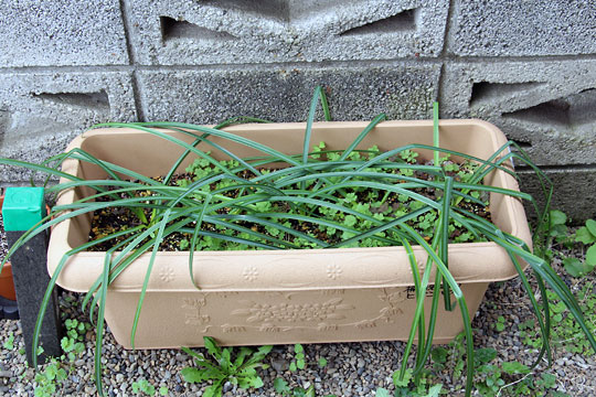 f:id:takahikonojima:20160318173122j:plain