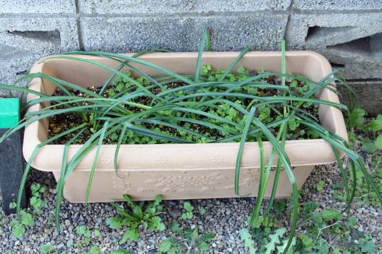 f:id:takahikonojima:20160318173135j:plain