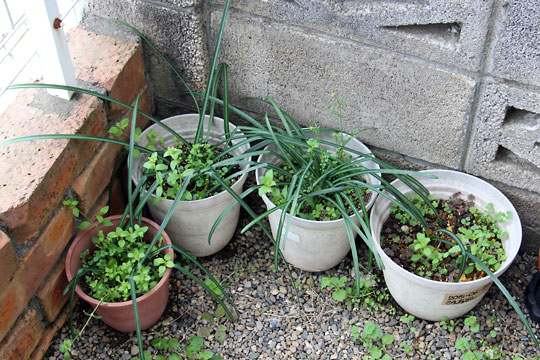 f:id:takahikonojima:20160318173205j:plain