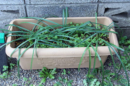 f:id:takahikonojima:20160318173217j:plain