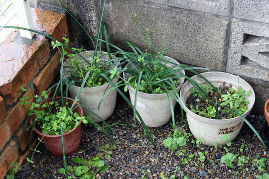 f:id:takahikonojima:20160319110354j:plain