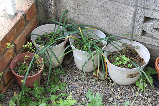 f:id:takahikonojima:20160430170710j:plain