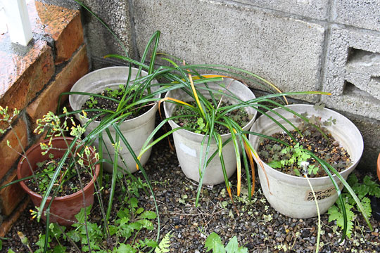 f:id:takahikonojima:20160430170719j:plain