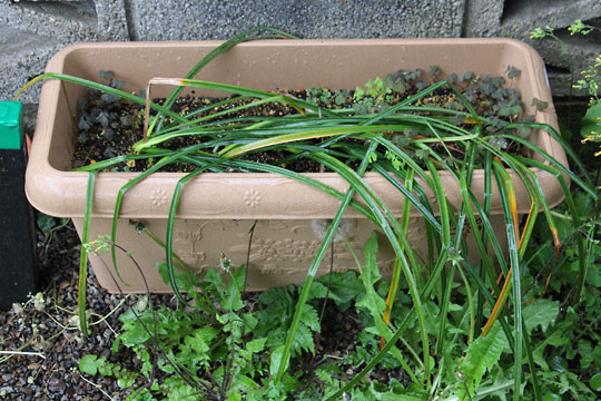 f:id:takahikonojima:20160430170723j:plain