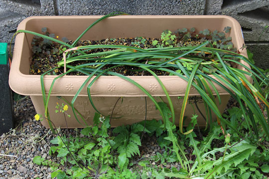 f:id:takahikonojima:20160430170731j:plain