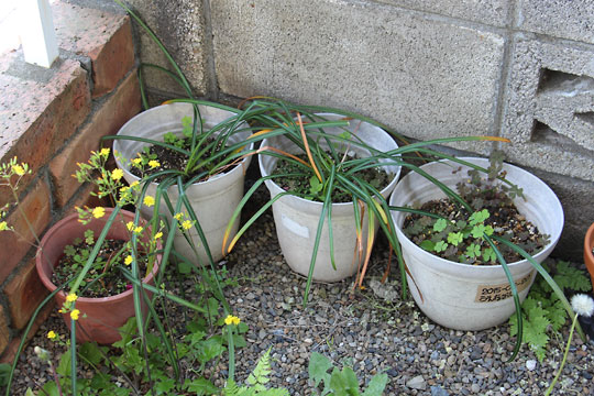 f:id:takahikonojima:20160430170735j:plain