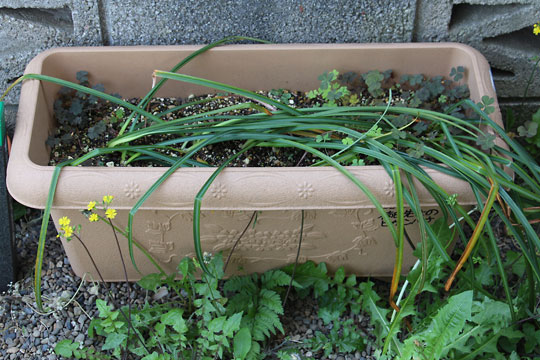 f:id:takahikonojima:20160430170740j:plain