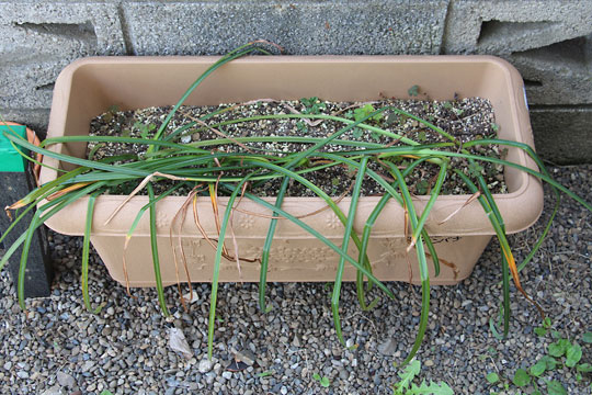 f:id:takahikonojima:20160512141323j:plain