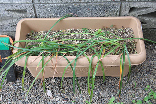 f:id:takahikonojima:20160512141343j:plain