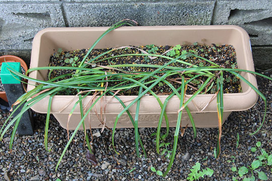 f:id:takahikonojima:20160512141351j:plain