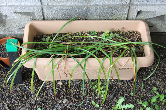 f:id:takahikonojima:20160512141401j:plain