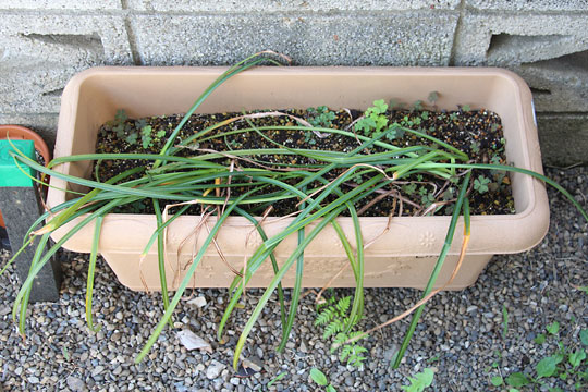 f:id:takahikonojima:20160512141411j:plain