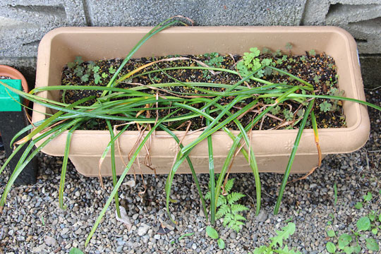 f:id:takahikonojima:20160514124328j:plain