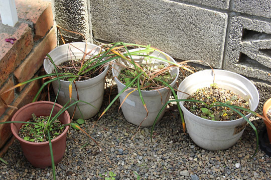 f:id:takahikonojima:20160514124336j:plain