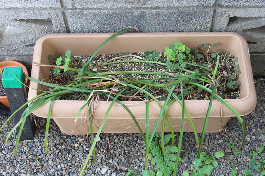 f:id:takahikonojima:20160529075702j:plain