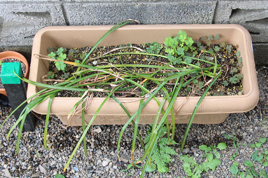 f:id:takahikonojima:20160529075714j:plain