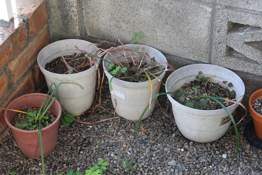 f:id:takahikonojima:20160529075721j:plain