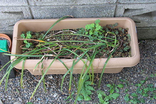 f:id:takahikonojima:20160529075725j:plain