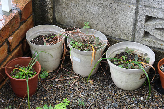 f:id:takahikonojima:20160529075728j:plain