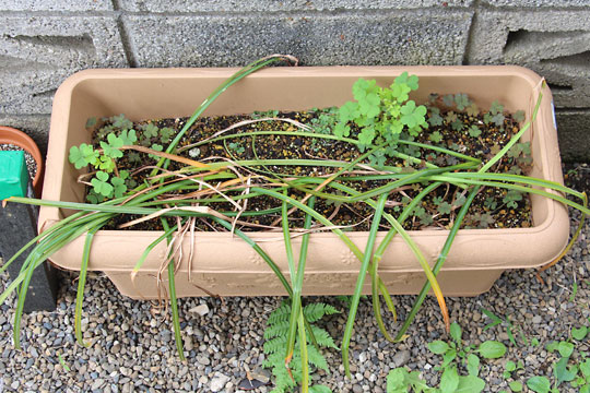 f:id:takahikonojima:20160529075744j:plain