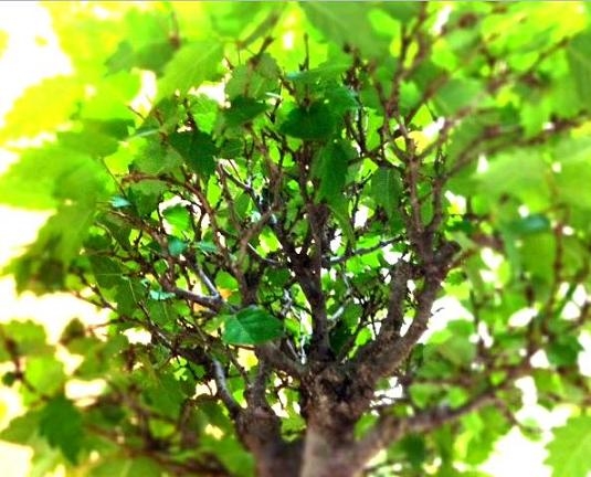 f:id:takahiro91:20120613150843j:plain f:id:takahiro91:20120613150843j:plain