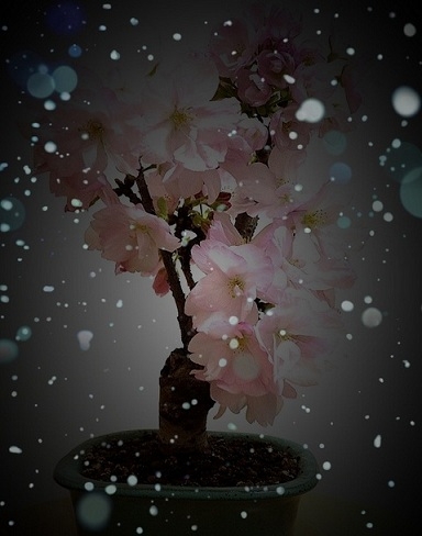 f:id:takahiro91:20130327185159j:plain f:id:takahiro91:20130327185159j:plain