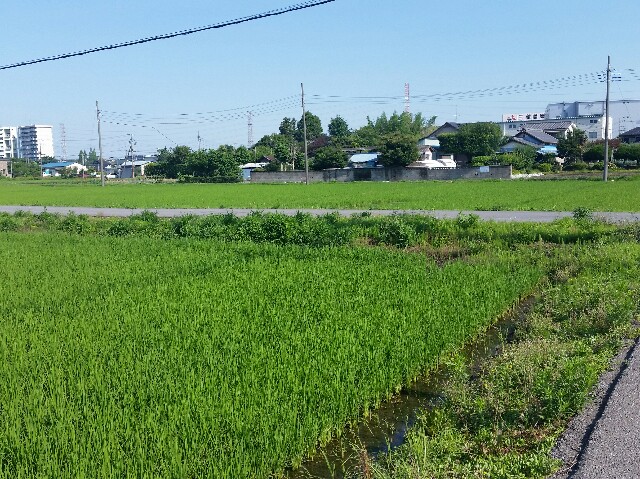 f:id:takahirokarate:20160622155339j:image f:id:takahirokarate:20160622155339j:image