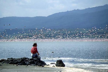 f:id:takapapa:20070117122505j:image f:id:takapapa:20070117122505j:image